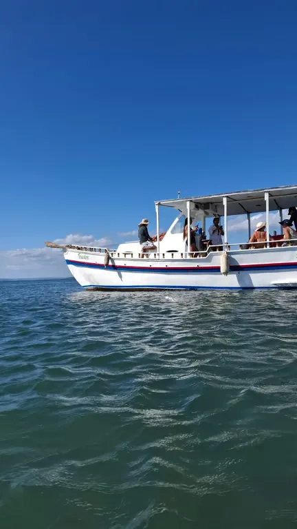 Barco Tricolor — foto 7 de 7
