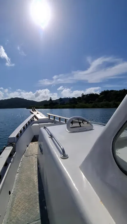 Barco Tricolor — foto 6 de 7