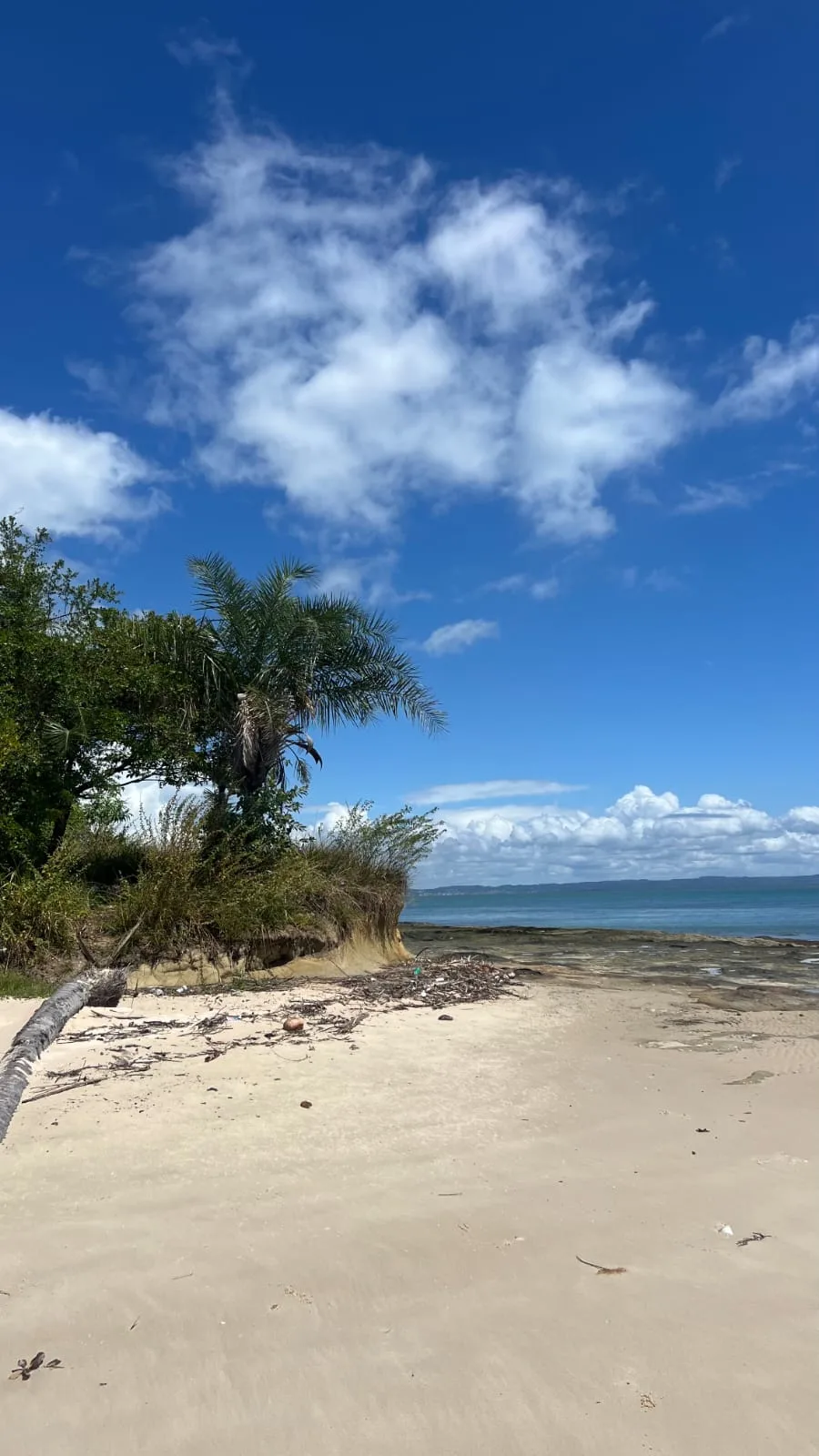 Praia Ponta do Navio - Ilha das Vacas
